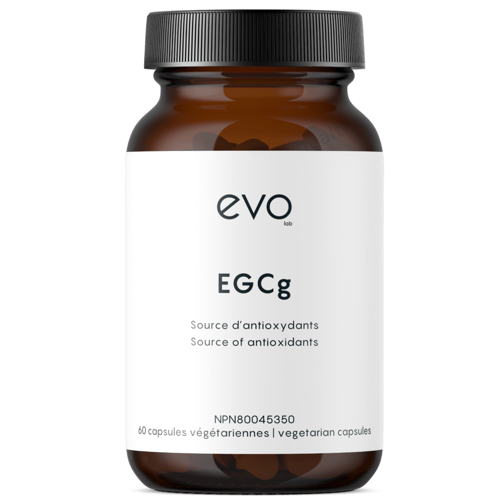 EVO Lab EGCg Extrait de thé vert Brûleur de graisse naturel